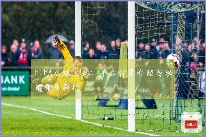 FIFA买球主站：平台背景介绍与功能深度解析
