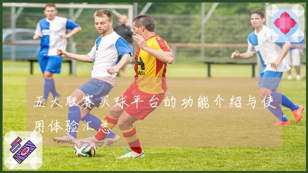 五大联赛买球平台的功能介绍与使用体验汇总