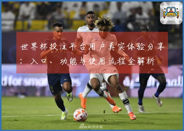 世界杯投注平台用户真实体验分享：入口、功能与使用流程全解析