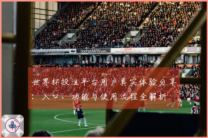世界杯投注平台用户真实体验分享:入口、功能与使用流程全解析